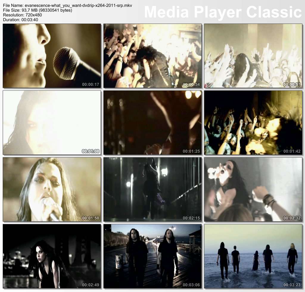 Evanescence - What You Want DVDRip x264 2011